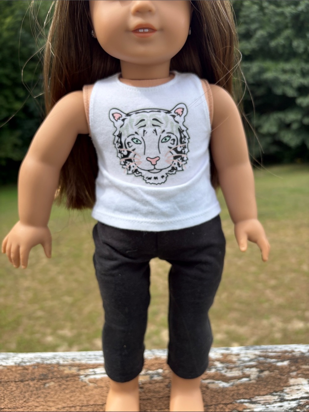 American Girl Doll - Picture 3 of 6